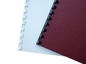 Plastring_Beispiel_1_300-225